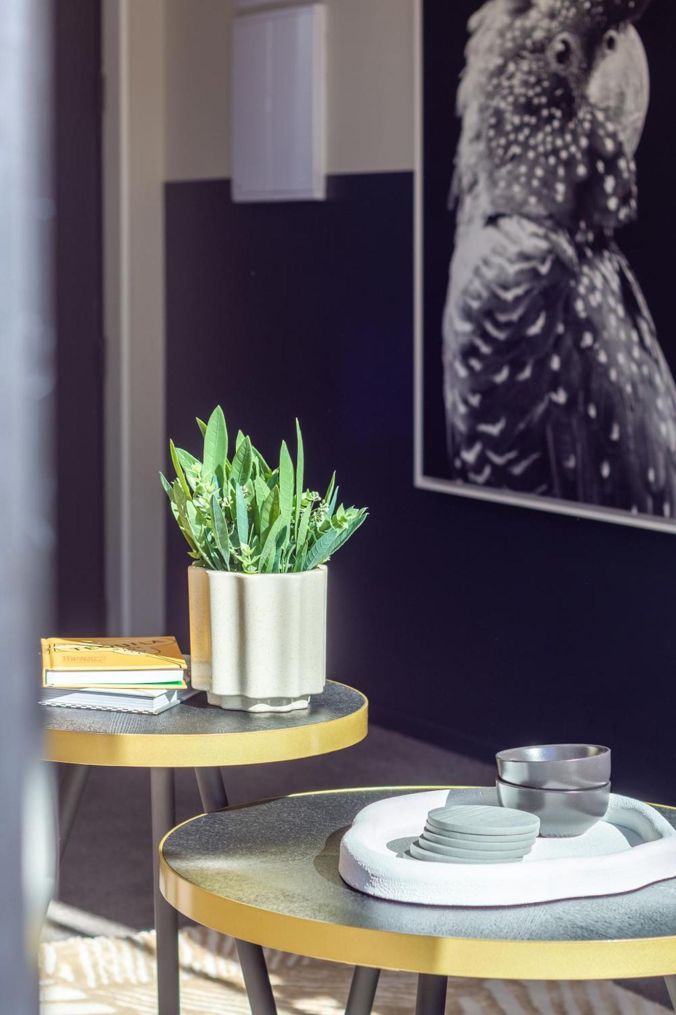 Luxury Without Limits In Cbd Christchurch Eksteriør billede